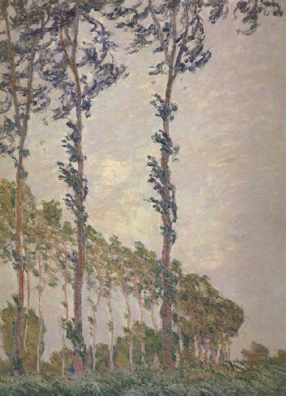 Claude Monet Wind Effect,Sequence of Poplars Spain oil painting art